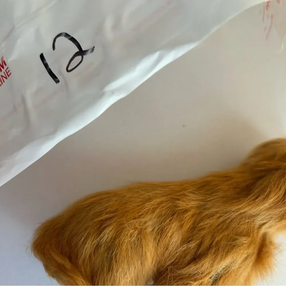 Realistic Brown Dog Figurine